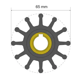 06-01-018 Albin Pump Marine Group Premium Impeller Kit 65 X 15.8 41.5mm - 12 Blade Key Insert 0