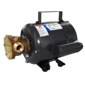 11810-0003 Jabsco Bronze Ac Motor Pump Unit - 115v