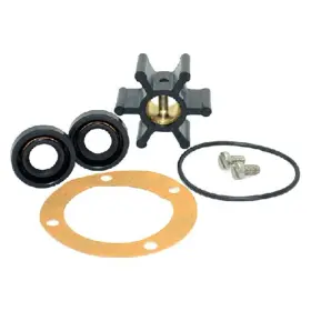 09-45589 Johnson Pump Service Kit