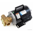 Jabsco 6050-0003 Self-priming Utility Pump 23 Gpm 115V Ac 1" Npt Us Motors New. Price: $877.42.
