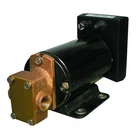 Groco Reversing Gear Pump 3/4" Npt Ports 12V GPBR-1 New. Price: $574.99.