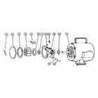 Jabsco 6050 Series 115 V 180 Gph Electric Impeller Utility Pump New. Price: $1345.89.
