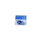 Whale AK0405 Service Kit For Flipper MK3 And MK4 New. Price: $44.17.