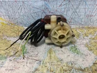 Boaters' Resale Shop Of Tx 2602 2810.07 March 115V Ac Water Pump LC-3CP-MD Used. Price: $199.93.