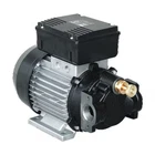 Piusi F0033991C Transfer Pump, 120V, 7 Max. Flow Rate 850W Hp, Cast Iron, 1" New. Price: $775.99.