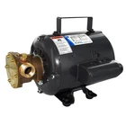 Jabsco Bronze Motor Pump Unit 115 Vac 11810-0003 New. Price: $1006.99.