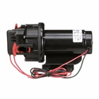 Seachoice 17881 Water Pressure System Pump - 3.5 Gpm Max 41 Psi 6.5 Feet ... New. Price: $258.45.