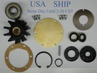 Major Repair Kit For Jabsco 777-9001 Sea Water Pump Detroit Diesel 8.2 Cat 3208 New. Price: $129.95.
