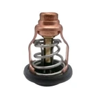 6CE-12411-00 Thermostat For Yamaha Outboard F225 F250 4.2L V6 Sierra 18-3524 New. Price: $24.99.