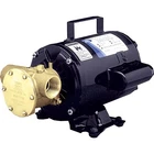 Jabsco Utility Pump W/open Drip Proof Motor 115V 6050-0003 New. Price: $947.99.