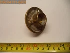 Perko FIG.714 Garboard Drain Plug 1/2" Ipt X Od New. Price: $22.98.